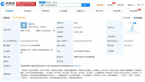 信息系統(tǒng)集成服務(wù)的核心價值與未來發(fā)展趨勢