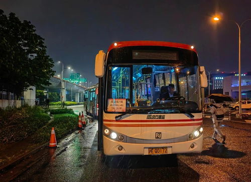 五一假期出行更便捷 上海閔行推出臨時接駁線與夜間免費停車服務